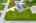 Blurred preview of media: iPixx_10_5