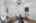 Blurred preview of media: DSC_6517