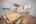 Blurred preview of media: PAX_1826