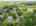 Blurred preview of media: 94 Central Street Andover Massachusetts Job 40242 0077