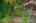 Blurred preview of media: 48