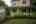 Blurred preview of media: 20250808L_lg_JW0018