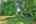Blurred preview of media: IMG_5753_4_5_easyHDR