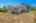 Blurred preview of media: 22