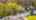 Blurred preview of media: 80