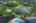Blurred preview of media: iPixx_11_18