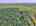 Blurred preview of media: DJI_20250728123704_0484_D_4_0485_D_5_0486_D_easyHDR