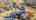 Blurred preview of media: 2025_01_January_47_Major_Ridge_Rd_0036
