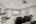 Blurred preview of media: IMG_1703