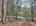Blurred preview of media: DJI_20260505134130_0817_D_8_D_9_D_easyHDR