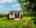 Blurred preview of media: D5
