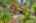 Blurred preview of media: 260204-27a