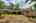 Blurred preview of media: IMG_4415_6_7_easyHDR