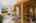 Blurred preview of media: 2-726-0811