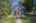 Blurred preview of media: IMG_9793