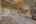 Blurred preview of media: DSC03421