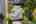 Blurred preview of media: 1-49