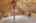 Blurred preview of media: 66 Woobly Road Bolton Massachusetts Job 39072 0024
