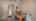 Blurred preview of media: IMG_9741