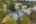 Blurred preview of media: 1-51