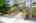 Blurred preview of media: 05