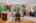 Blurred preview of media: 1-46