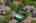 Blurred preview of media: Aerial 11 Marker
