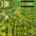 Blurred preview of media: 1-926--4