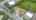 Blurred preview of media: DJI_0014