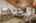 Blurred preview of media: 1E0A3705 copy