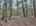 Blurred preview of media: DJI_20260505133939_0796_D_7_D_8_D_easyHDR