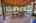 Blurred preview of media: IMG_2248_49_50