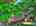 Blurred preview of media: DJI_20260613115143_0776_D_7_D_8_D_easyHDR
