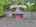 Blurred preview of media: DJI_20260616120124_0877_D_8_D_9_D_easyHDR