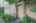 Blurred preview of media: DSC07172