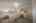 Blurred preview of media: Image-3
