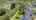 Blurred preview of media: un-68