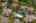 Blurred preview of media: Aerial 12 Marker