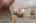 Blurred preview of media: 277 Main Street Bolton Massachusetts Job 38618 0088