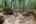 Blurred preview of media: PAX_2119
