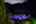 Blurred preview of media: 4Sept0064