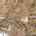 Blurred preview of media: Lot #6
