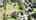 Blurred preview of media: lotsc4th