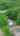 Blurred preview of media: 314MapleStreet_MLS_v1