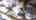 Blurred preview of media: 3 Rio Vista