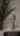 Blurred preview of media: 10166 W 263rd St, Louisburg 1