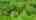 Blurred preview of media: 209HarwoodAve_MLS_v1