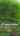 Blurred preview of media: 277MainStreet_Social_v1