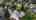 Blurred preview of media: 18980_sw_madeline_st_beaverton,_oregon__unbranded_cc