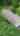 Blurred preview of media: 2SuttonPI_MLS_V1